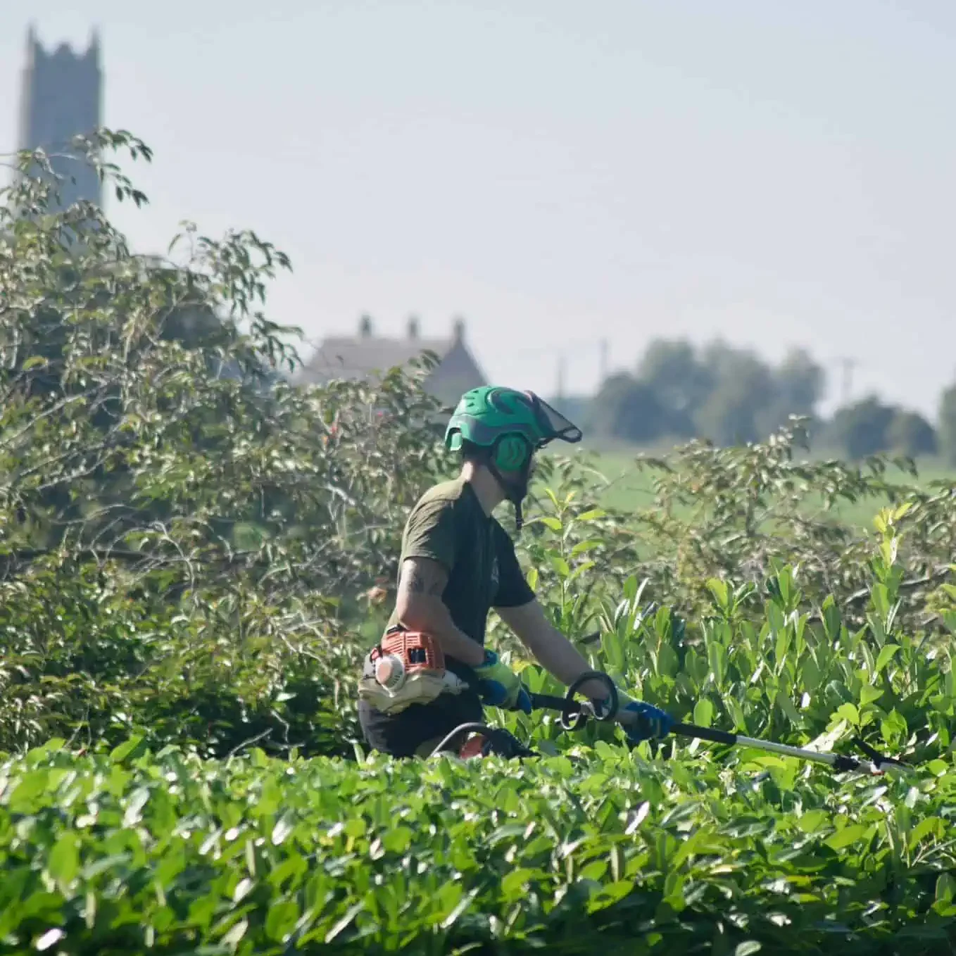 Trusted Local Tree Surgeons in Stalham, Norfolk - LJ Tree Services