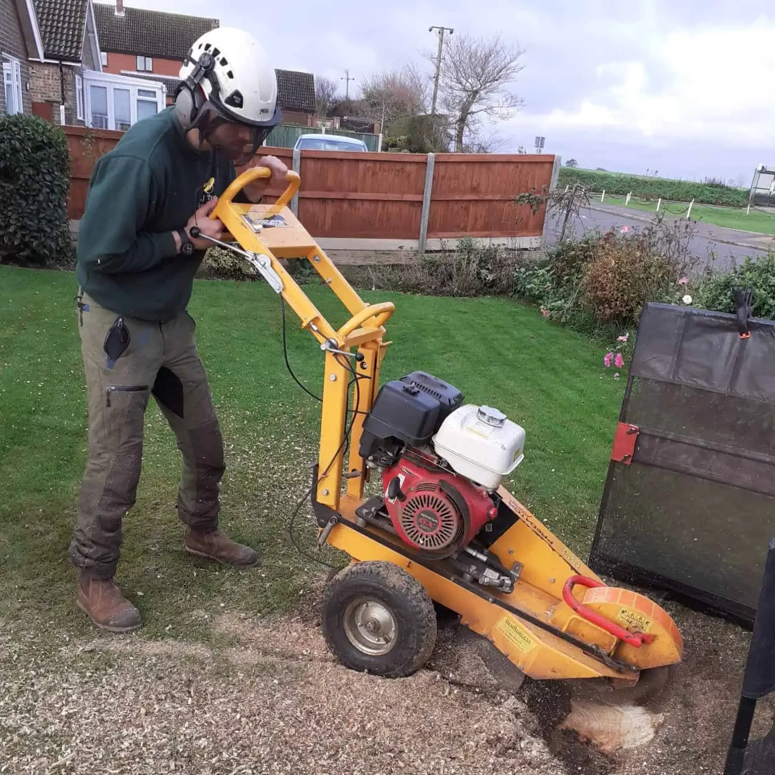 Trusted Local Tree Surgeons in Stalham, Norfolk - LJ Tree Services - Stump Grinding
