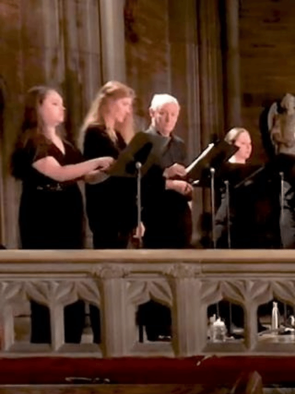 Image Description