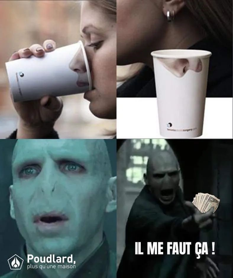 Mème humoristique avec un gobelet dont le design inclut un nez, suivi d'une photo de Voldemort, personnage de Harry Potter, disant 'Il me faut ça !', accompagné du logo 'Poudlard, plus qu'une maison
