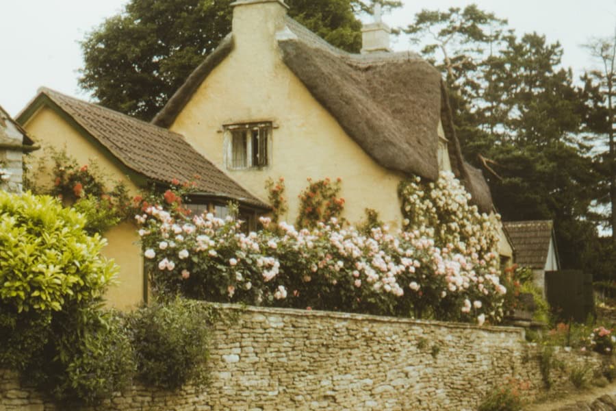 A traditional, thatched-roof cottage with climbing pink and white roses along a low stone wall | Castle Combe England