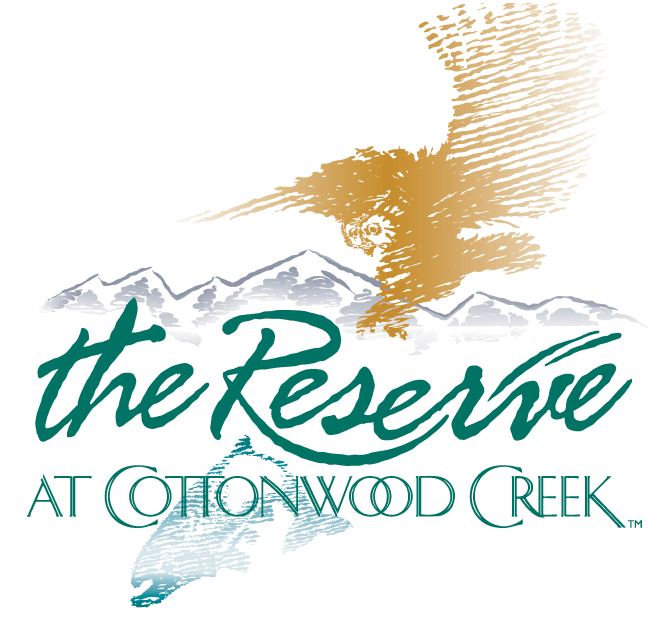 Logo Full