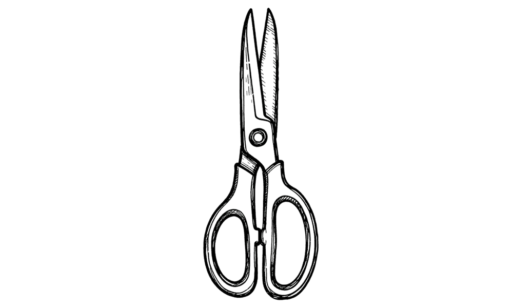 Hand-drawn illustration of stationery or sewing scissors | Bonsaii - artisan bonsai trees and gifts