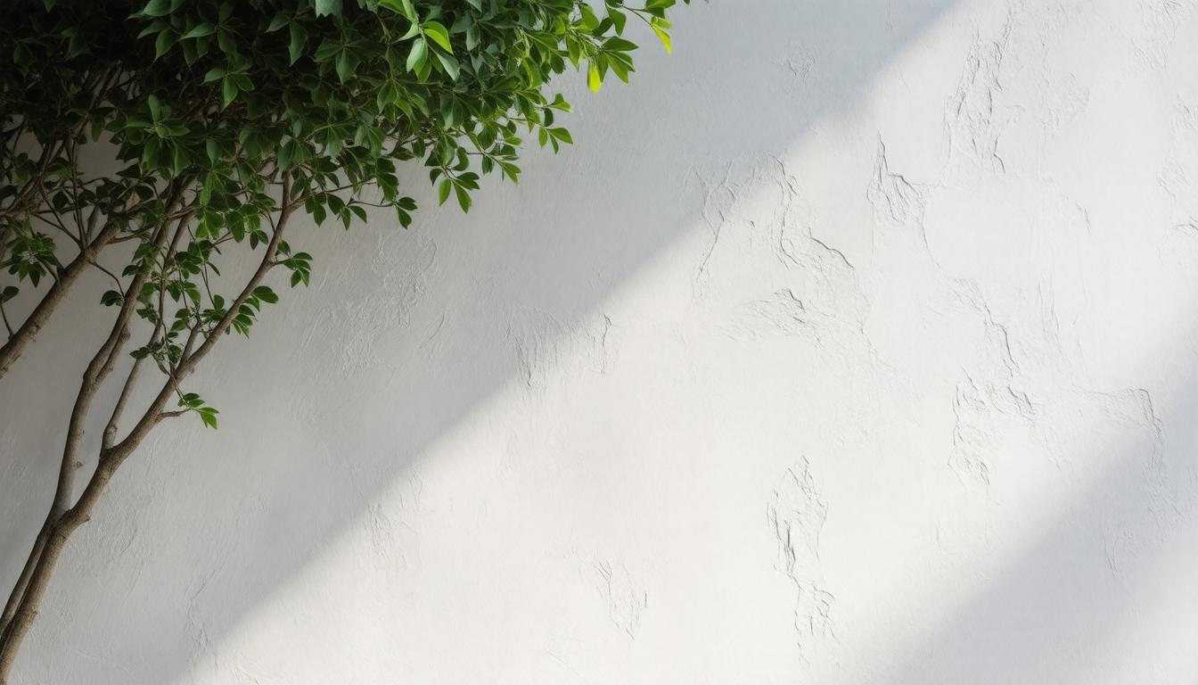 A tree stands in front of a plain white wall, creating a simple yet striking contrast in the scene.