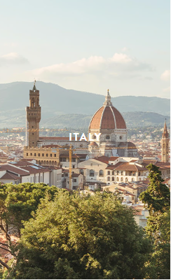 Olive drab green insulated bottle with flared screw lid and flat top.