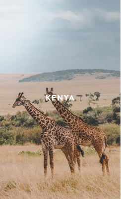 Olive drab green insulated bottle with flared screw lid and flat top.