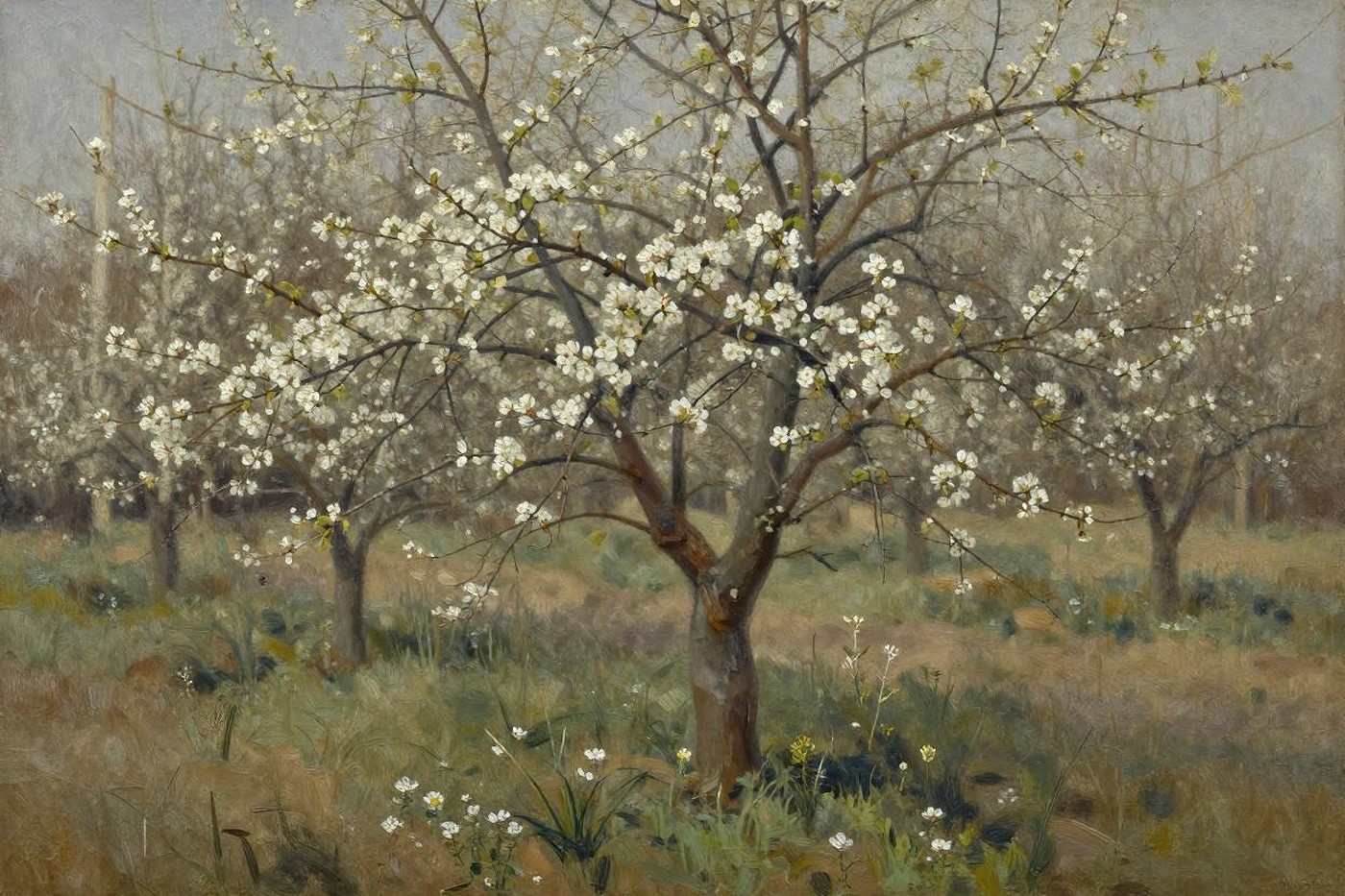 Oil painting of a spring orchard with a young tree covered in white blossom above grass and wildflowers