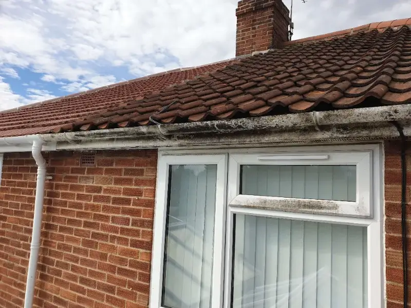 Gutter repair services Norfolk by Canary Guttering Services