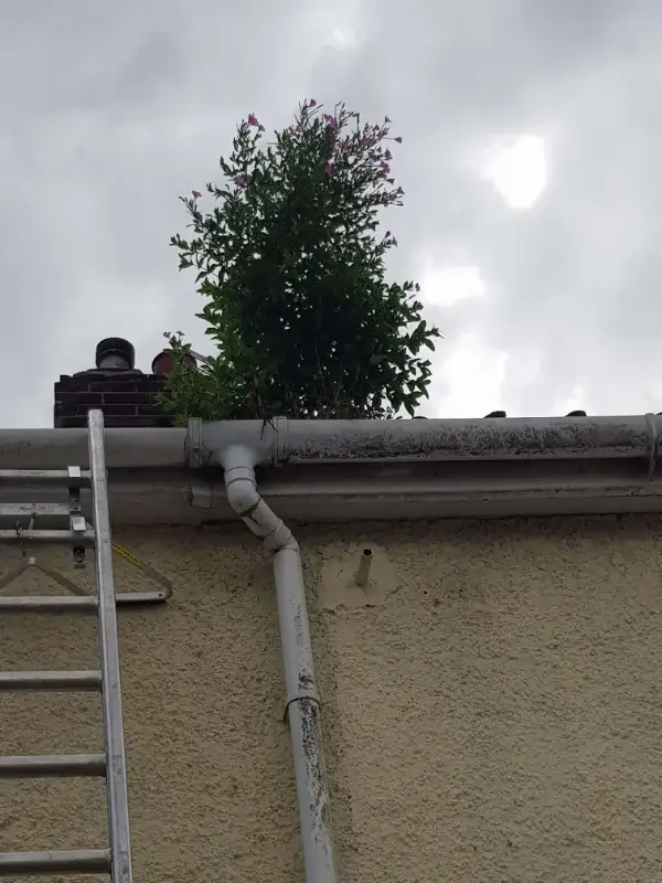 Gutter repair work completed in Norwich Norfolk by Canary Guttering Services