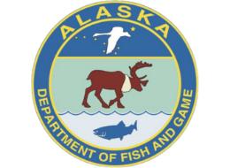 Desk with leather desk pad, walnut desk organizer, wireless keyboard and mouse, and porcelain mug.