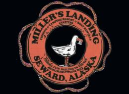 Collection of four insulated travel bottles on wooden shelf.