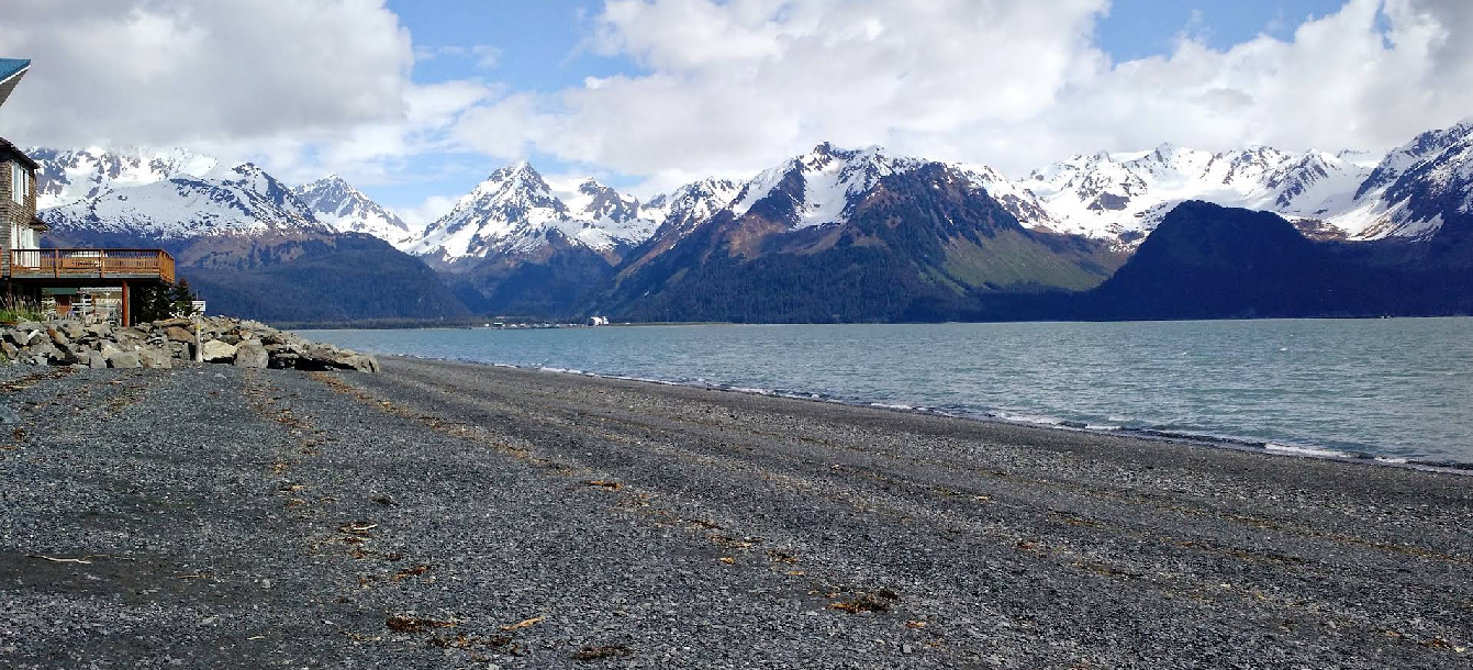 Desk with leather desk pad, walnut desk organizer, wireless keyboard and mouse, and porcelain mug.