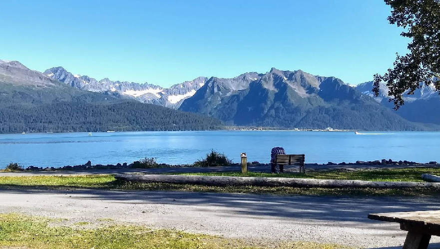 Collection of four insulated travel bottles on wooden shelf.