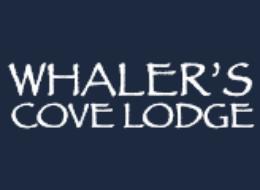 Wood table with porcelain mug, leather journal, brass pen, leather key ring, and a houseplant.