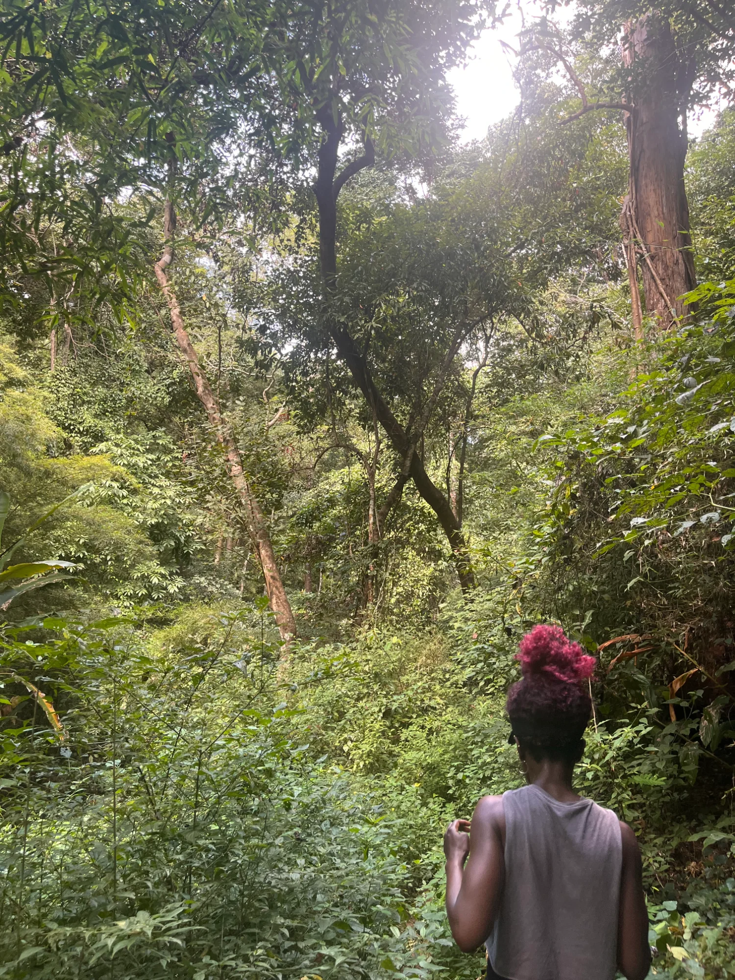 A woman walking through a lush green forest, seen from behind