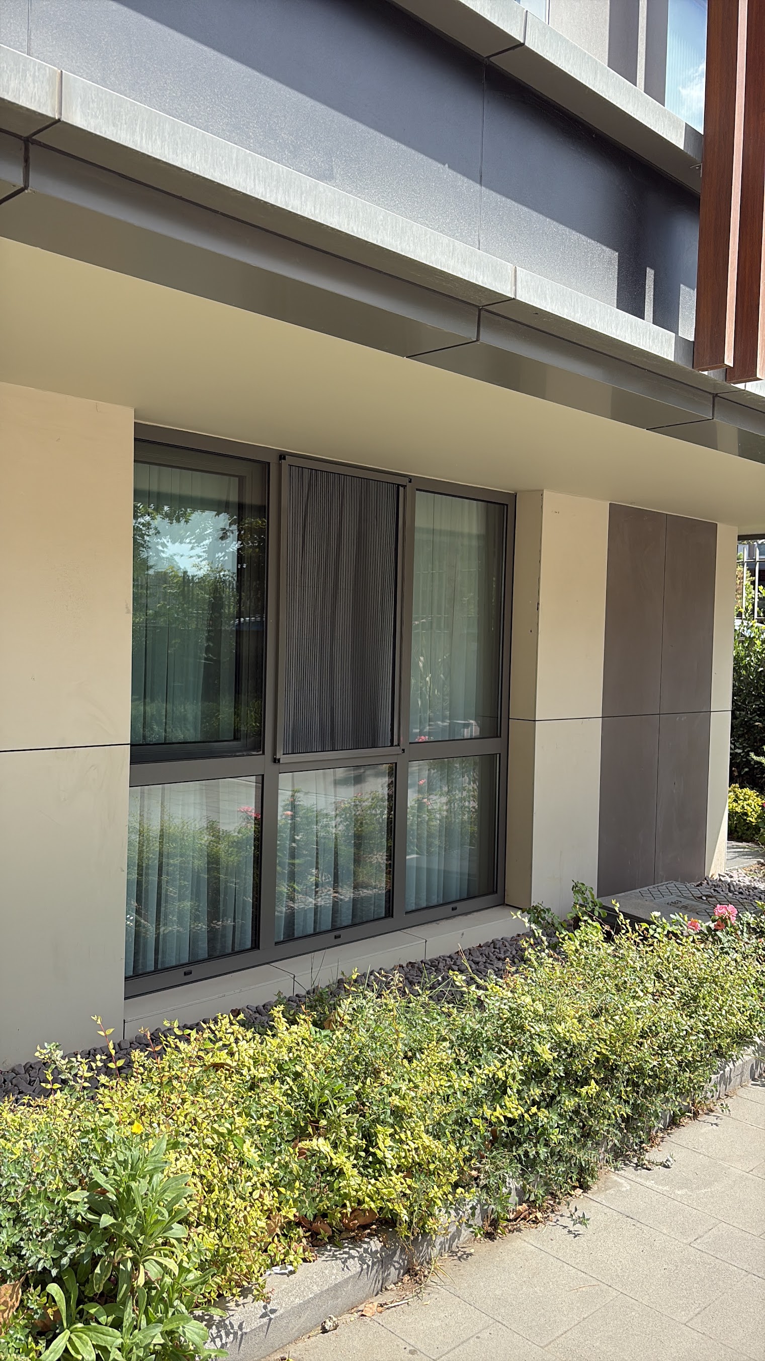 Plise sineklik uygulanmış modern pencere