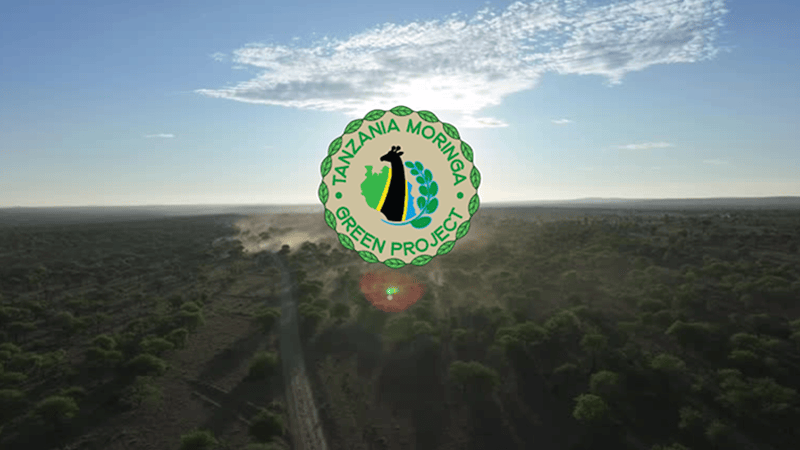 TMGP video preview — drone opname Moringa-plantage Tanzania