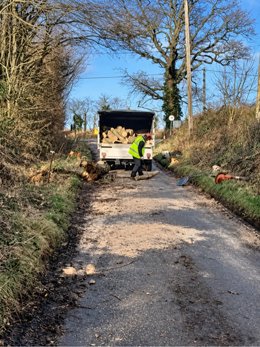 Storm-damaged tree being made safe by the tree surgery team