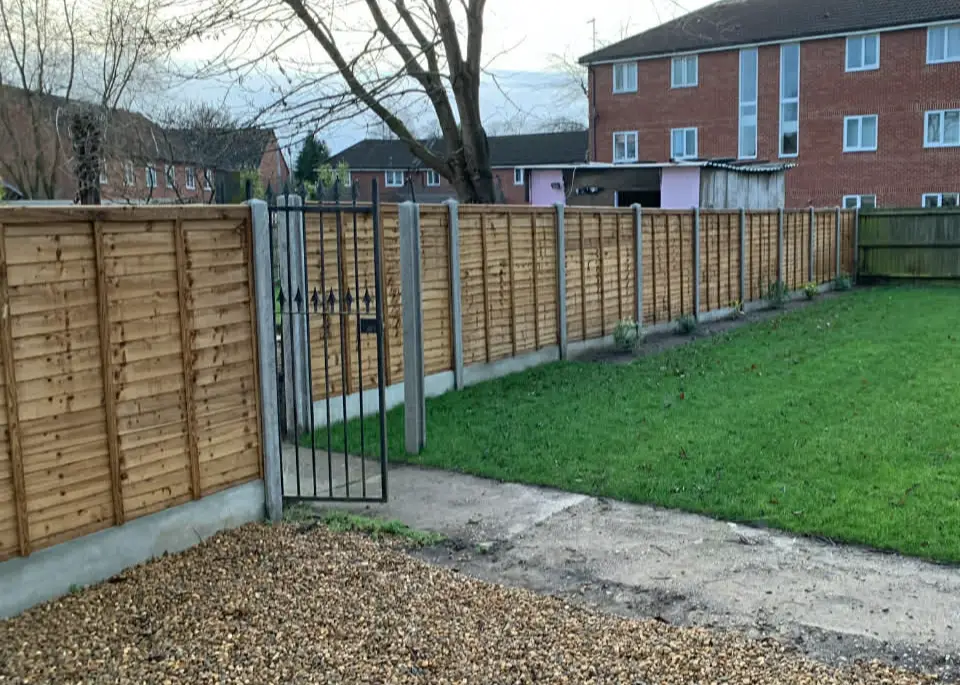 Garden fence acting as backdrop to planting.