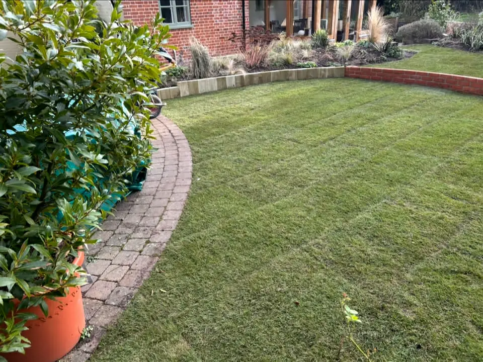 Garden layout with lawn, trees and seating.