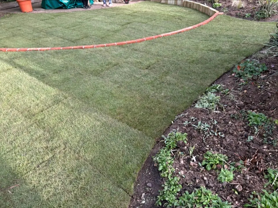 Garden layout with lawn, trees and seating.