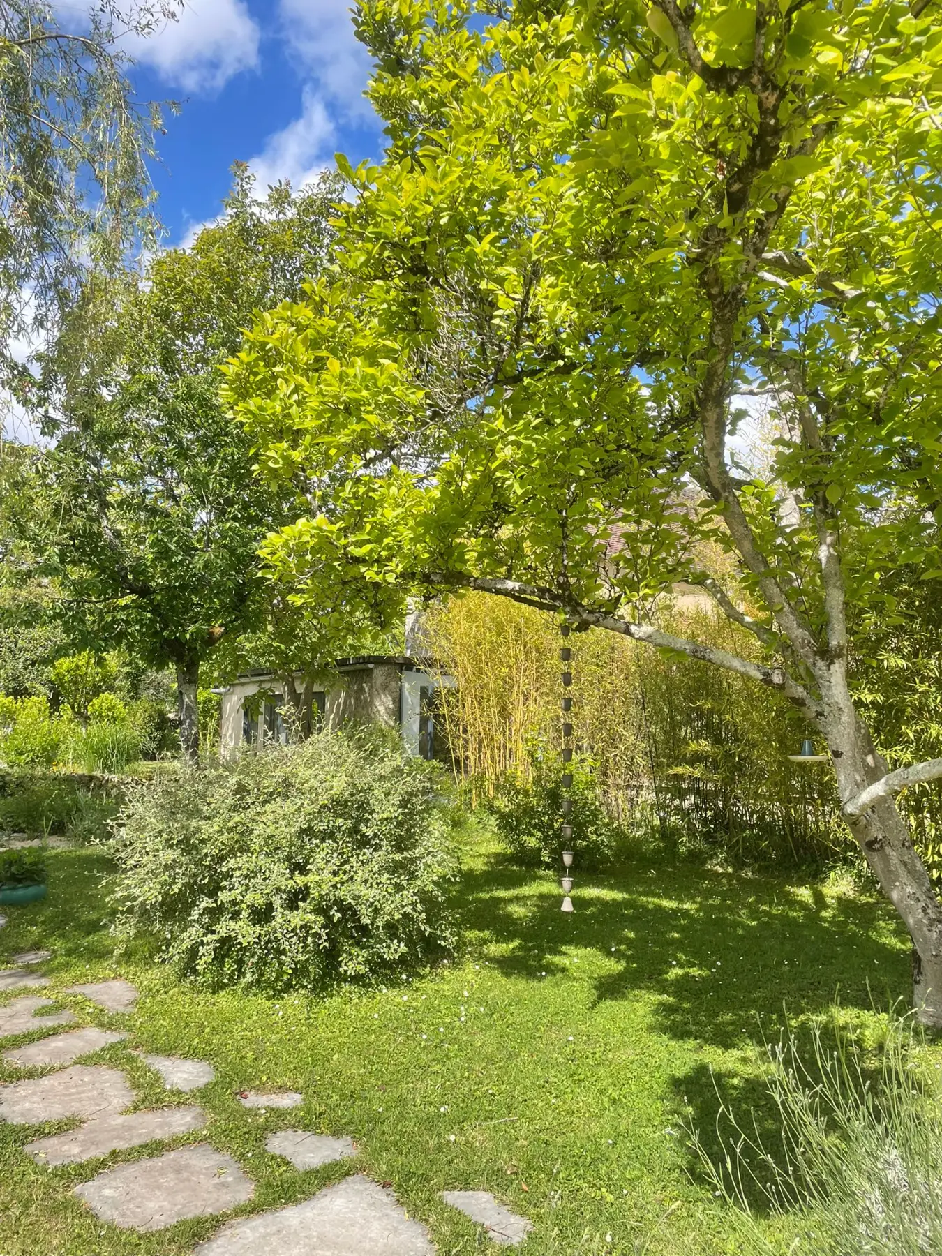 Garden studio set among orchard trees under a blue sky