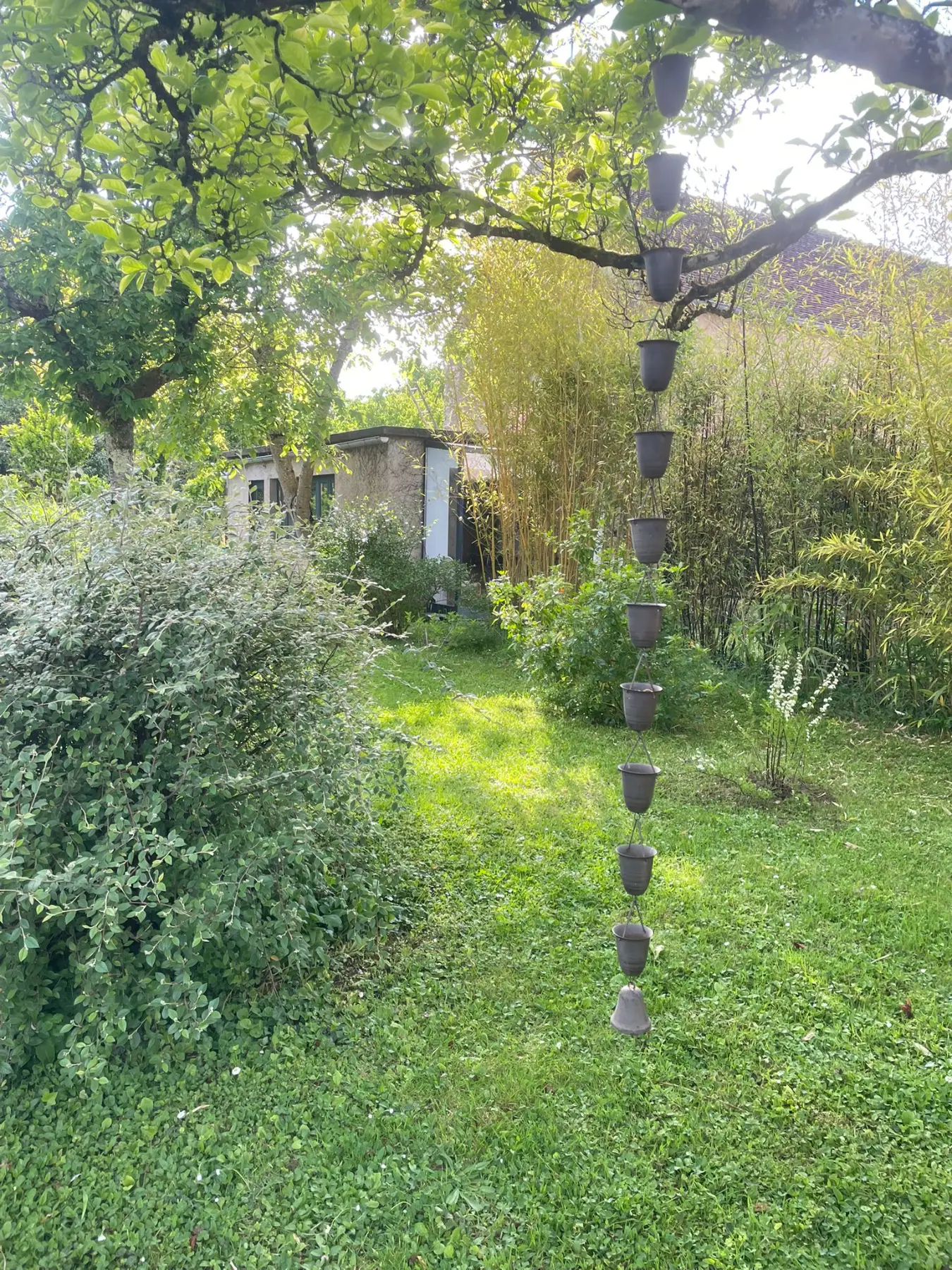 Garden studio and new planting with a hanging rain chain of cups