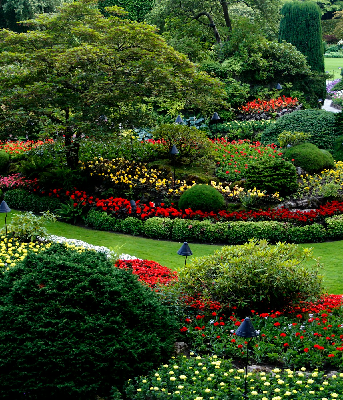Woodland-edge planting design with naturalistic borders in Surrey