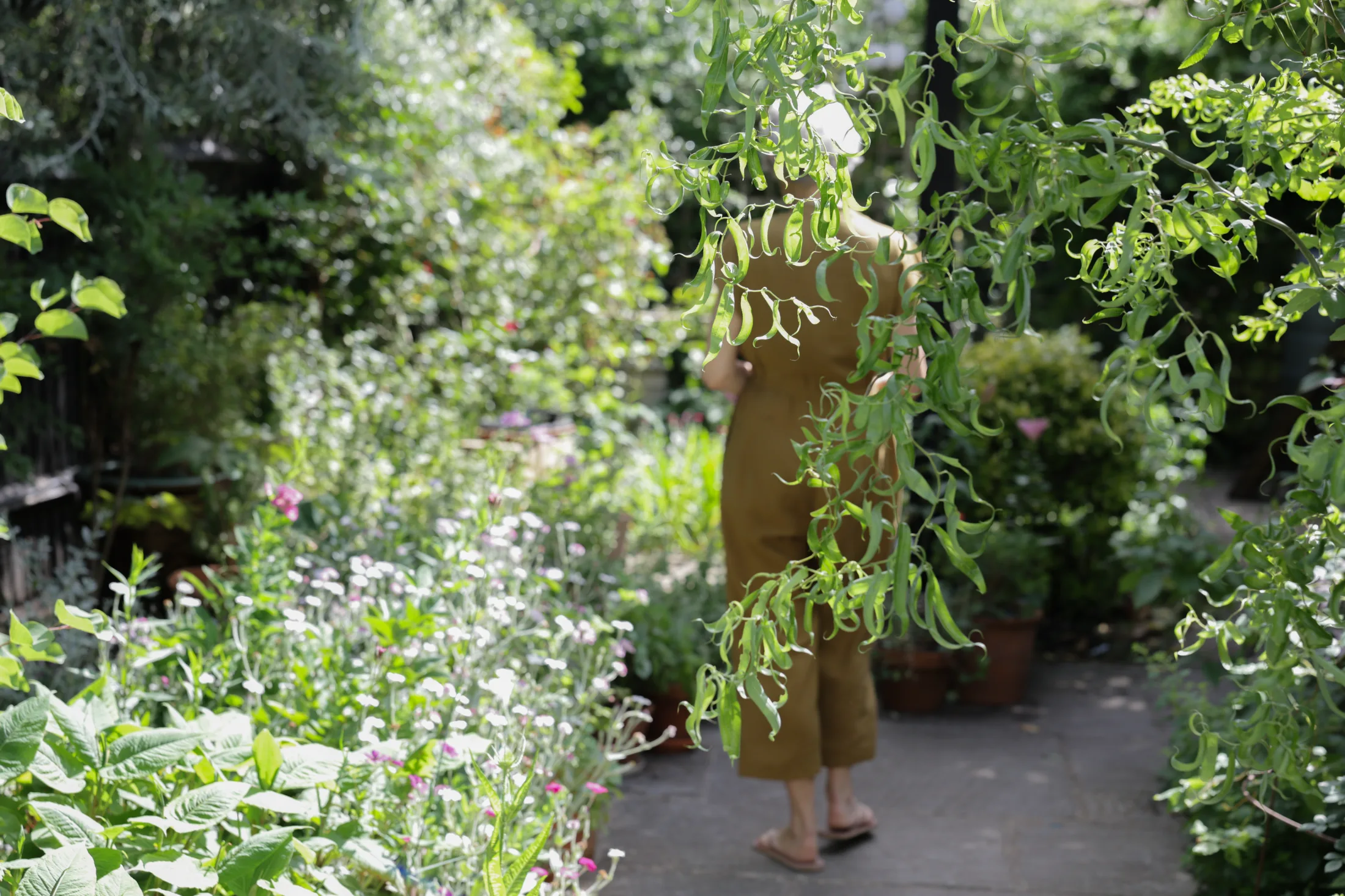 Alice, Sinensis Gardens designer, walking through a lush London garden path
