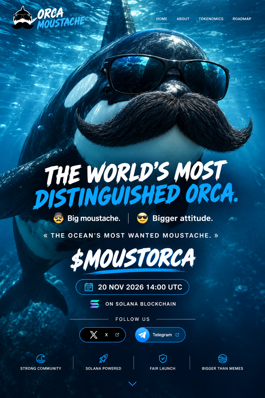 Official Orca Moustache poster showing the mascot in sunglasses and a moustache